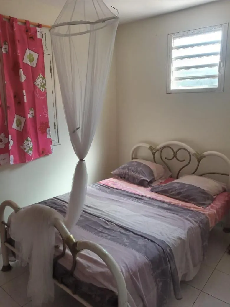 Bas De Villa Meuble Jumelee Bareto Martinique